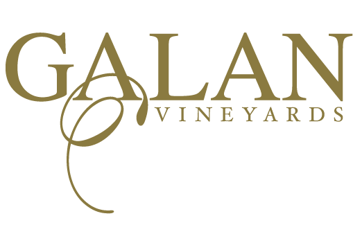 Vinos Galan | Vinos de Exportacíon | Viña Galán Chile logo